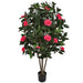 5' Flowering Camellia Silk Tree w/Pot -Beauty - W200090