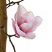 6'7" Magnolia Blossom Flower Silk Tree w/Pot -Pink - W200140