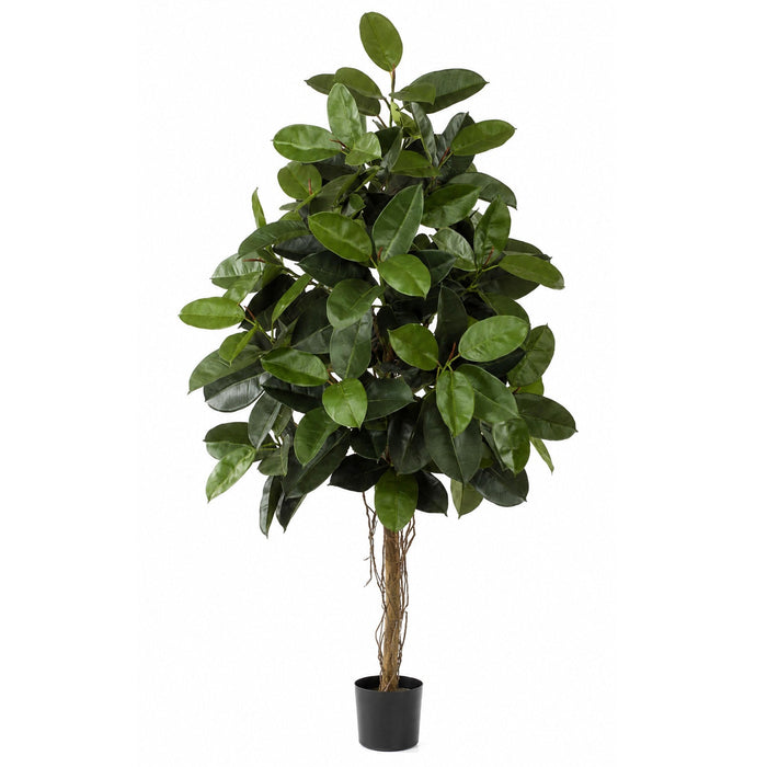 6' Rubber Silk Tree w/Pot & Air Roots -Green - W2370
