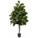 6' Rubber Silk Tree w/Pot & Air Roots -Green - W2370