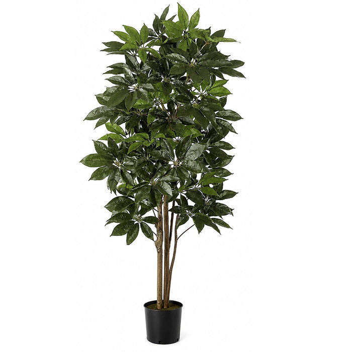8' Schefflera Silk Tree w/Pot -Green - W-2400