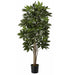 8' Schefflera Silk Tree w/Pot -Green - W-2400