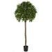 5'6" Artificial Bay Laurel Leaf Ball-Shaped Topiary Tree -2 Tone Green - W2581