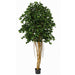 6'6" Ficus Silk Tree w/Pot & Air Roots -2,880 Leaves -Green - W2610