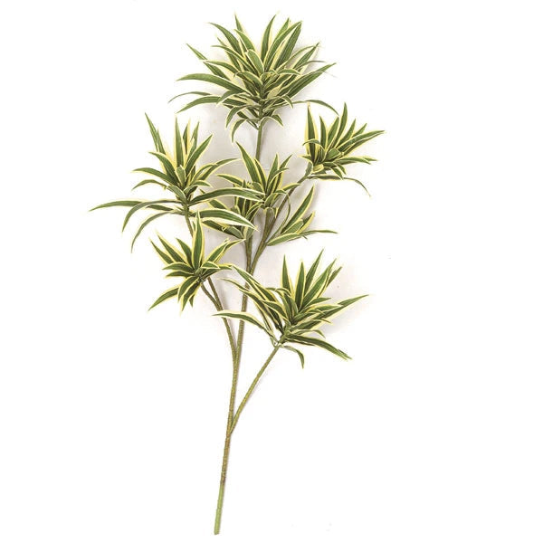 7' Dracaena Reflexa Silk Tree w/Pot -2,820 Leaves -Green/Yellow - W-2755