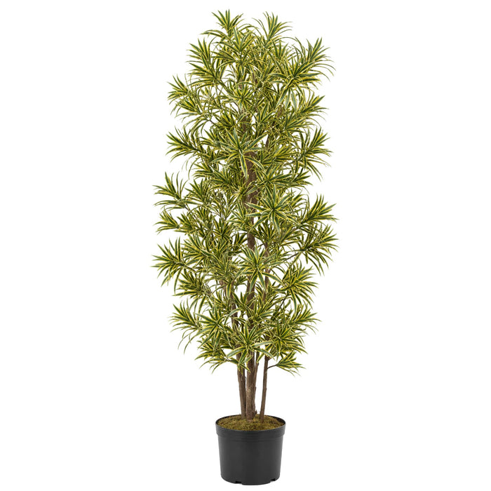 7' Dracaena Reflexa Silk Tree w/Pot -2,820 Leaves -Green/Yellow - W-2755