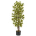7' Dracaena Reflexa Silk Tree w/Pot -2,820 Leaves -Green/Yellow - W-2755