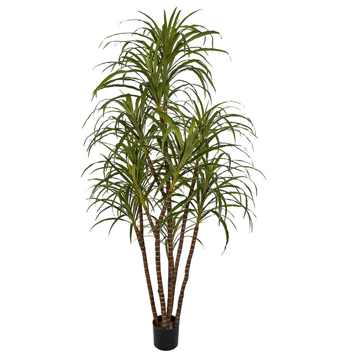 dracaena silk tree 6'6" Dracaena Marginata Silk Tree w/Pot -Green/Red