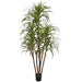 6'6" Dracaena Marginata Silk Tree w/Pot -Green/Red - W2770