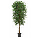 6'6" Ficus Silk Tree w/Pot -2,700 Leaves -Green - W50020