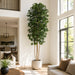 10' Silk Black Olive Tree w/Pot -Green - W60275