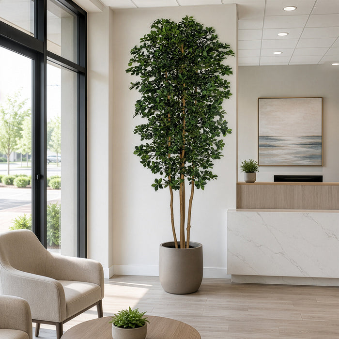 10' Silk Black Olive Tree w/Pot -Green - W60275