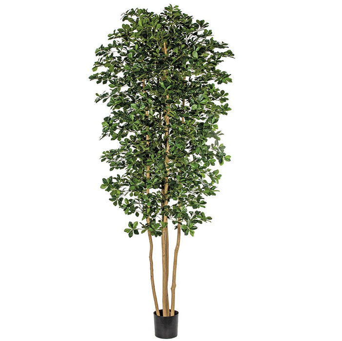 10' Silk Black Olive Tree w/Pot -Green - W60275