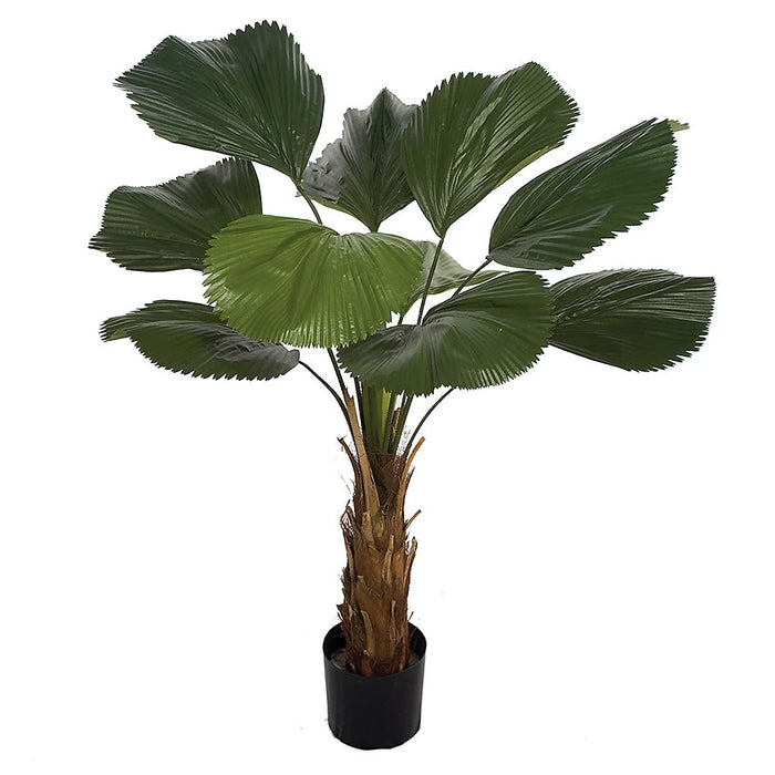4'9" IFR Ruffled Fan Palm Silk Plant w/Pot -Green - WR80190
