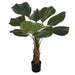 4'9" Ruffled Fan Palm Silk Plant w/Pot -Green - W80190