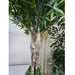 6' Custom-Made Outdoor UV-Proof Artificial Japanese Maple Tree w/Pot -Green - W1000G
