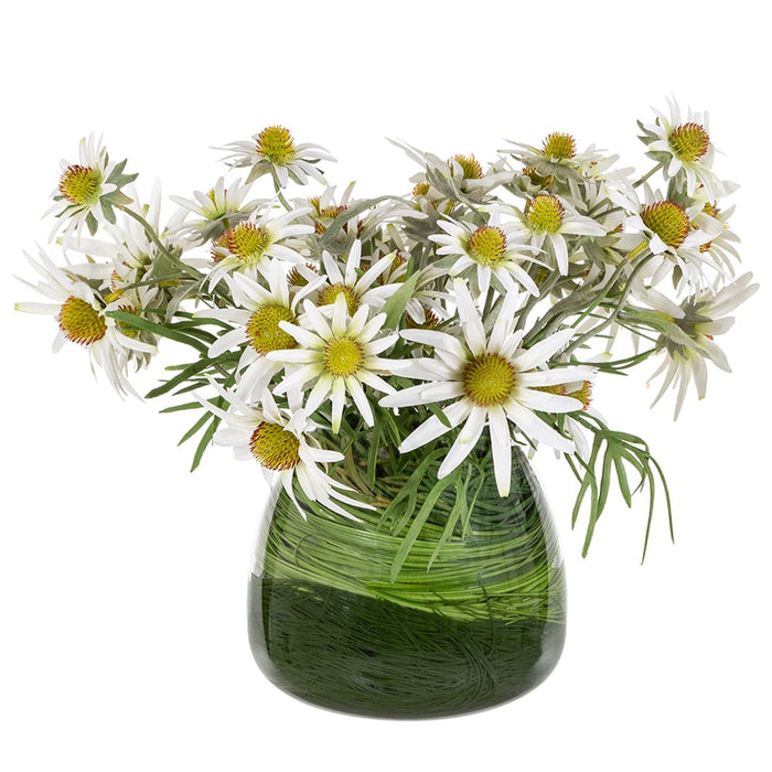 14"Hx18"W Rudbeckia & Grass Artificial Flower Arrangement w/Glass Vase -White/Green - WF0722-WH/GR