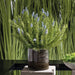 23"Hx21"W Wild Lavender & Twig Artificial Flower Arrangement w/Glass Vase -Lavender/Green - WF0723-LV/GR
