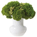15"Hx16"W Sedum, Skimmia & Berry Artificial Flower Arrangement w/Ceramic Vase -Green - WF0731-GR