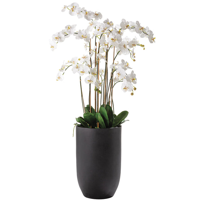 70.5"Hx40"W Phalaenopsis Orchid Silk Flower Arrangement w/Cement Planter -White - WF0749-WH