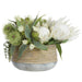 13.5"Hx22"W Protea & Eucalyptus Silk Flower Arrangement w/Cement Planter -Cream/Green - WF0754-CR/GR