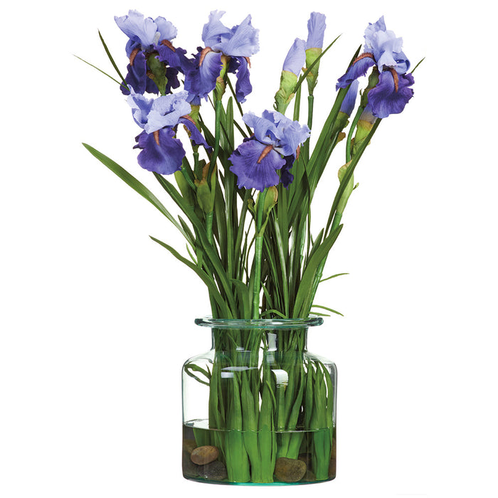 28"Hx16"W Bearded Iris & Grass Silk Flower Arrangement w/Glass Vase -Purple/Blue - WF0756-PU/BL