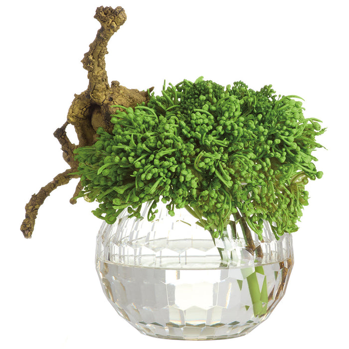 10"Hx9"W Sedum & Driftwood Artificial Arrangement w/Glass Vase -Green - WF0761-GR