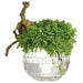 10"Hx9"W Sedum & Driftwood Artificial Arrangement w/Glass Vase -Green - WF0761-GR