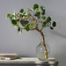 27"Hx24"W Cotinus Branch Artificial Arrangement w/Glass Vase -Green - WF0768-GR