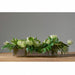 13"Hx44"W Protea & Philo Leaf Silk Flower Arrangement w/Metal Planter -Cream/Green - WF0791-CR/GR