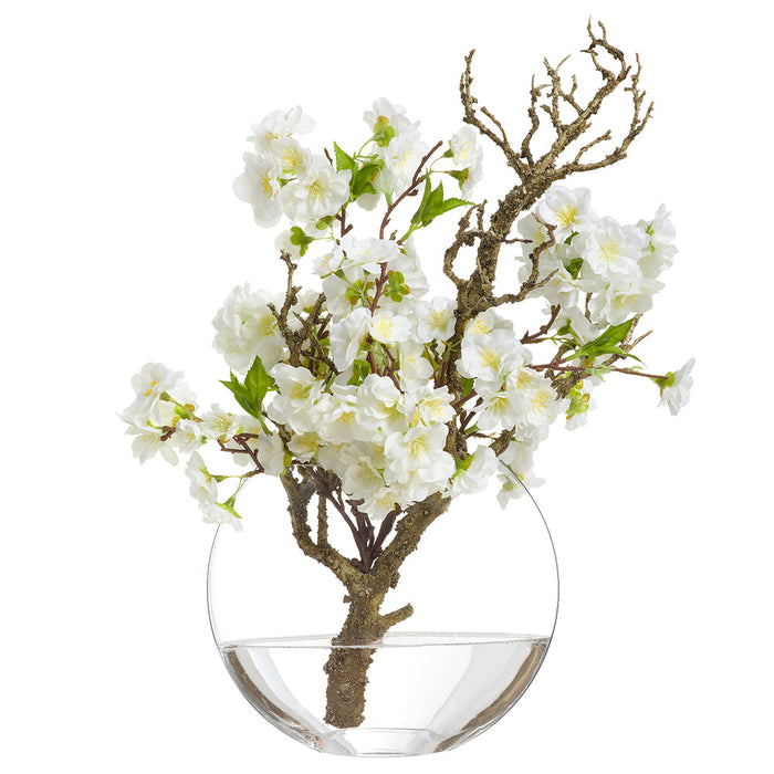 21"Hx15"W Cherry Blossom Branch Silk Flower Arrangement w/Glass Vase -White - WF0800-WH