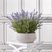 17"Hx18"W Lavender Silk Flower Arrangement w/Terra Cotta Planter -Lavender/Green - WF0837-LV/GR