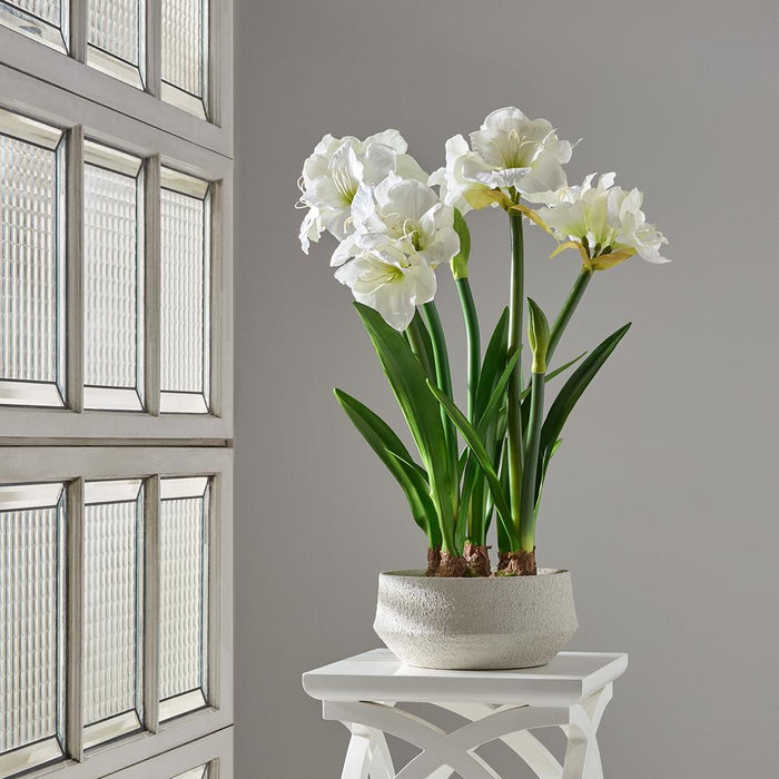 30"Hx20"W Amaryllis & Bulb Silk Flower Arrangement w/Terra Cotta Planter -White - WF0838-WH