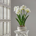 30"Hx20"W Amaryllis & Bulb Silk Flower Arrangement w/Terra Cotta Planter -White - WF0838-WH