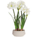 30"Hx20"W Amaryllis & Bulb Silk Flower Arrangement w/Terra Cotta Planter -White - WF0838-WH