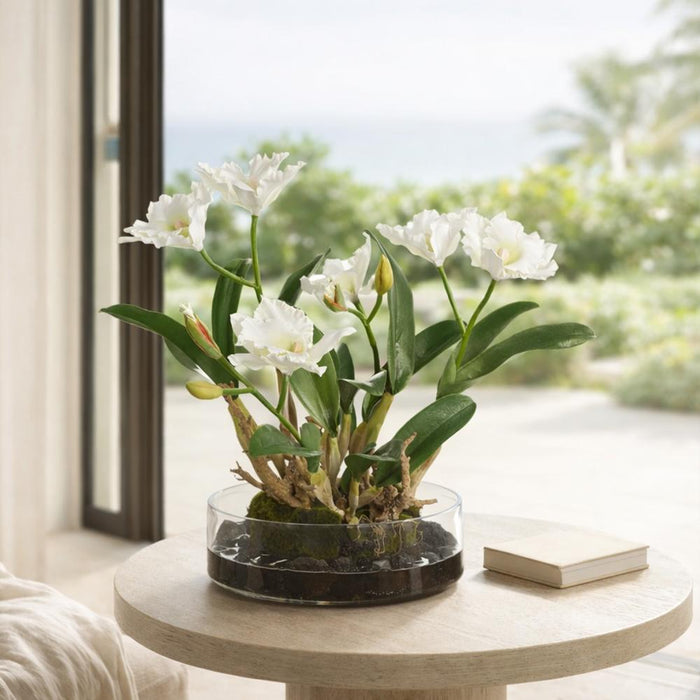 19.5"Hx22"W Cattleya Orchid Silk Flower Arrangement w/Glass Vase -White - WF0863-WH