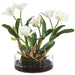19.5"Hx22"W Cattleya Orchid Silk Flower Arrangement w/Glass Vase -White - WF0863-WH