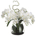 26"Hx28"W Phalaenopsis Orchid Silk Flower Arrangement -Cream - WF1157-CR