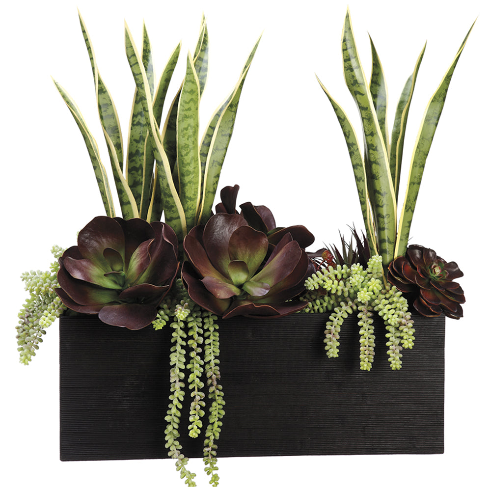 snake plant succulents 28 Inch Tall Echeveria / Mother-In-Law Foot Talls Tongue in Bamboo Container