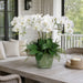 28"Hx25"W Phalaenopsis Orchid & Lace Fern Silk Flower Arrangement -White/Green - WF1492-WH/GR