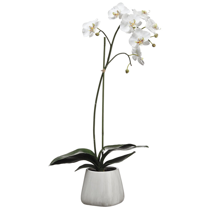 30" Cattleya Orchid Silk Flower Arrangement -White - WF1807-WH