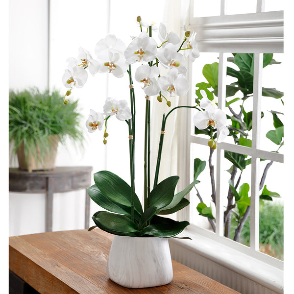 35" Phalaenopsis Orchid Silk Flower Arrangement -White - WF1808-WH