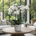 39"Hx24"W Phalaenopsis Orchid Silk Flower Arrangement -White - WF1809-WH