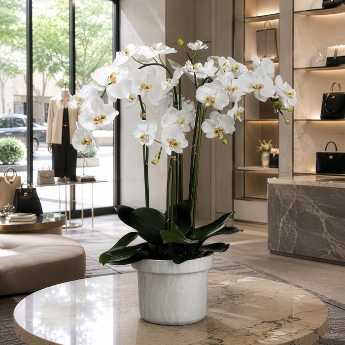 39"Hx24"W Phalaenopsis Orchid Silk Flower Arrangement -White - WF1809-WH
