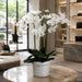 39"Hx24"W Phalaenopsis Orchid Silk Flower Arrangement -White - WF1809-WH