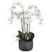 52" Phalaenopsis Orchid Silk Flower Arrangement -White - WF1817-WH