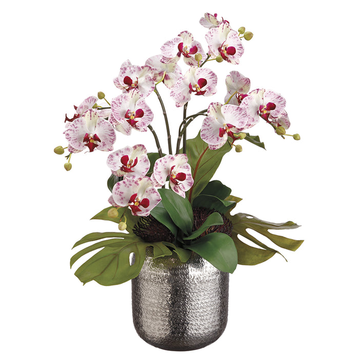 25"Hx23"W Bird's Nest Leaf & Phalaenopsis Orchid Silk Flower Arrangement -White/Orchid - WF1853-WH/OC