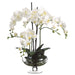 25" Phalaenopsis Orchid Silk Flower Arrangement -Cream - WF2356-CR
