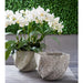 30" Phalaenopsis Orchid Silk Flower Arrangement -White - WF3408-WH