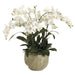 30" Phalaenopsis Orchid Silk Flower Arrangement -White - WF3408-WH